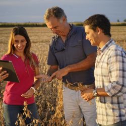 Gestión agropecuaria: los desafíos y oportunidades para digitalizarla | Foto:CEDOC