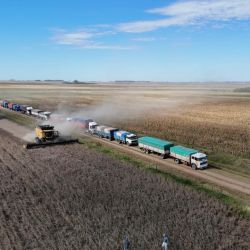 Gestión agropecuaria: los desafíos y oportunidades para digitalizarla | Foto:CEDOC