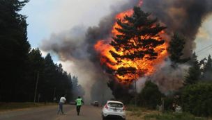 Ignacio Torres, incendio en Epuyén 20250121