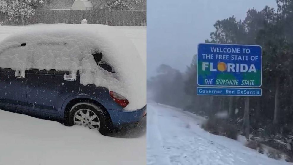 Nevada en Florida