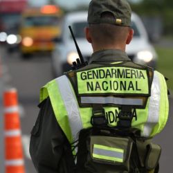 La Gendarmería se haría cargo del control de los civiles armados según el proyecto de diputado Oscar Agost Carreño.