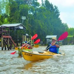 La isla Victoria se ubica en un lugar clave del Delta, que vincula tres grandes ríos: Capitán, San Antonio y el Sarmiento.estro gran humedal.