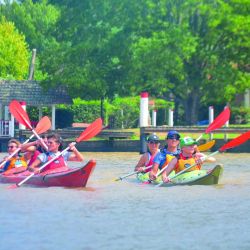 La isla Victoria se ubica en un lugar clave del Delta, que vincula tres grandes ríos: Capitán, San Antonio y el Sarmiento.estro gran humedal.
