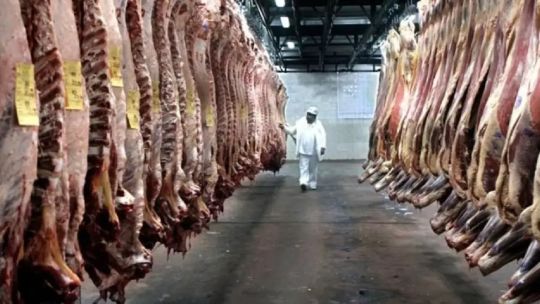 Carne de vacuna