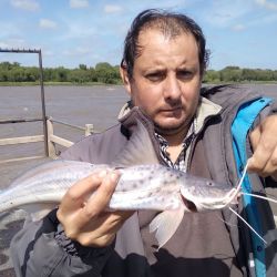 2401_mapa_pique_pesca