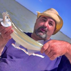 2401_mapa_pique_pesca