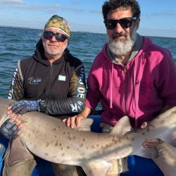 2401_mapa_pique_pesca
