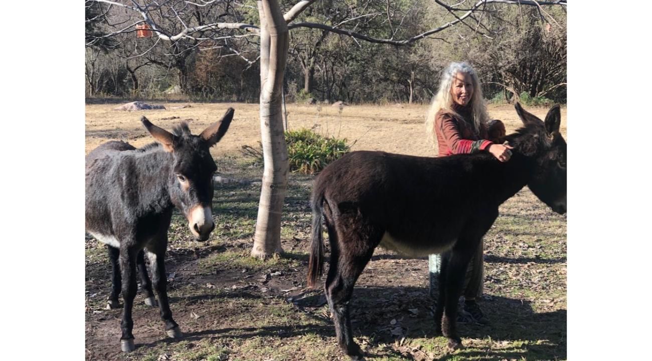 Dra. Claudia Sánchez y los cambios astrológicos: La era de la transformación profunda