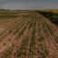 Argentina slashes export taxes to rescue drought-hit farmers