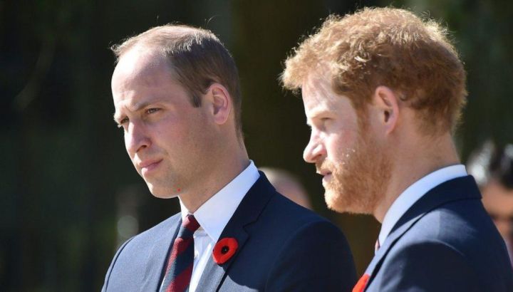 Pesar y dolor en la Corona Británica: la tragedia que afecta profundamente a los príncipes William y Harry