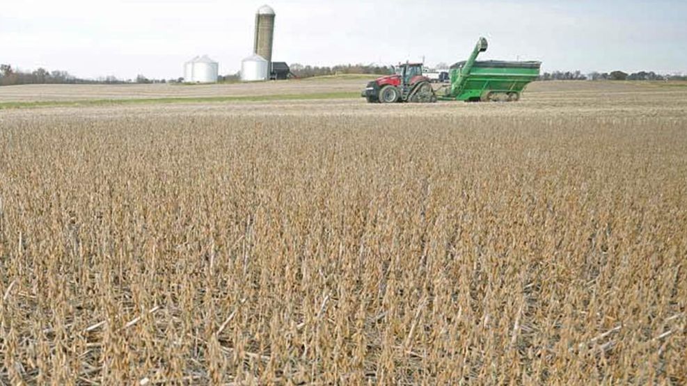 250125_campo_cosecha_na_g