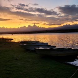 Las capturas se sucedieron una tras otra, siempre estando atento al descarne, ya que hay una sobrepoblación de mojarras de un tamaño importante que nos obliga a revisar constantemente los cebos.