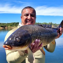 Las capturas se sucedieron una tras otra, siempre estando atento al descarne, ya que hay una sobrepoblación de mojarras de un tamaño importante que nos obliga a revisar constantemente los cebos.