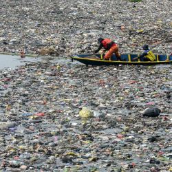Voluntarios y funcionarios de la Agencia de Gestión de la Gran Cuenca del Río (BBWS) de Citarum limpian los escombros flotantes atrapados por cañas de bambú en el río Citarum en Bandung, Java Occidental, Indonesia. | Foto:TIMUR MATAHARI / AFP