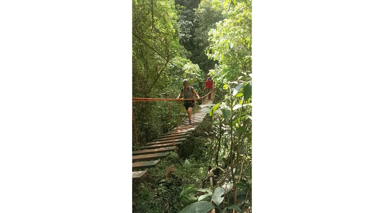 Eventos de team building en las Cataratas: Impulsá el trabajo en equipo de tu empresa de manera única 