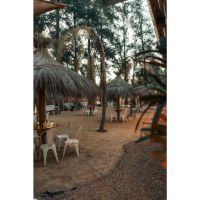 Wanika: un rincón hawaiano en zona oeste que conquista a grandes y chicos