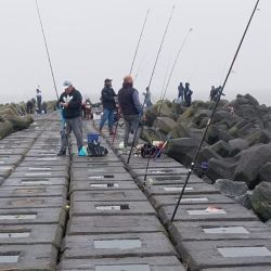 La isla cuenta con un largo espigón de casi un kilómetro sobre el río, de acceso libre y que es el lugar preferido por los pescadores.