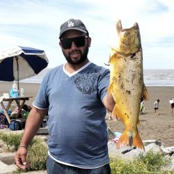 La isla cuenta con un largo espigón de casi un kilómetro sobre el río, de acceso libre y que es el lugar preferido por los pescadores.