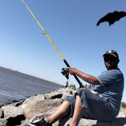 La isla cuenta con un largo espigón de casi un kilómetro sobre el río, de acceso libre y que es el lugar preferido por los pescadores.