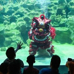Los visitantes observan a buzos disfrazados realizar la tradicional danza del león china en el oceanario Aquaria KLCC en Kuala Lumpur, Malasia. | Foto:Mohd Rasfan / AFP