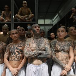 Reclusos permanecen en una celda en el megacentro penitenciario Centro de Internamiento Antiterrorista (CECOT), donde se encuentran recluidos cientos de miembros de las pandillas MS-13 y Calle 18, en Tecoluca, El Salvador. | Foto:MARVIN RECINOS / AFP