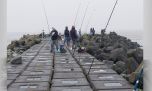 No es fantasía, en la isla Paulino se dan buenos portes de dorados