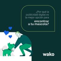 Wako: Tecnología, comunidad y esperanza para reunir mascotas perdidas