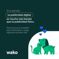 Wako: Tecnología, comunidad y esperanza para reunir mascotas perdidas
