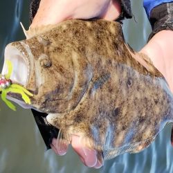 El lenguado promueve una diversión asegurada, ya sea con mosca, con carnada, en spinning, en trolling o al vadeo. Distintas formas de pesca que encierran una especie que cada vez tiene más adeptos.