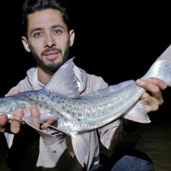  La pesca que volvimos a encontrar es realmente fantástica, es decir, la de siempre, con una importante multiplicidad de especies. Hay dorados, surubíes, bogas, tarariras, bagres, rayas, sábalos y manduvas.