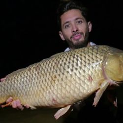  La pesca que volvimos a encontrar es realmente fantástica, es decir, la de siempre, con una importante multiplicidad de especies. Hay dorados, surubíes, bogas, tarariras, bagres, rayas, sábalos y manduvas.
