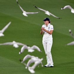 Las gaviotas aterrizan mientras la inglesa Lauren Filer fildea durante el primer día del partido de prueba de cricket femenino Ashes entre Australia e Inglaterra en el Melbourne Cricket Ground (MCG) en Melbourne. | Foto:William West / AFP