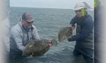 Es tiempo de lenguados en la albufera de Mar Chiquita