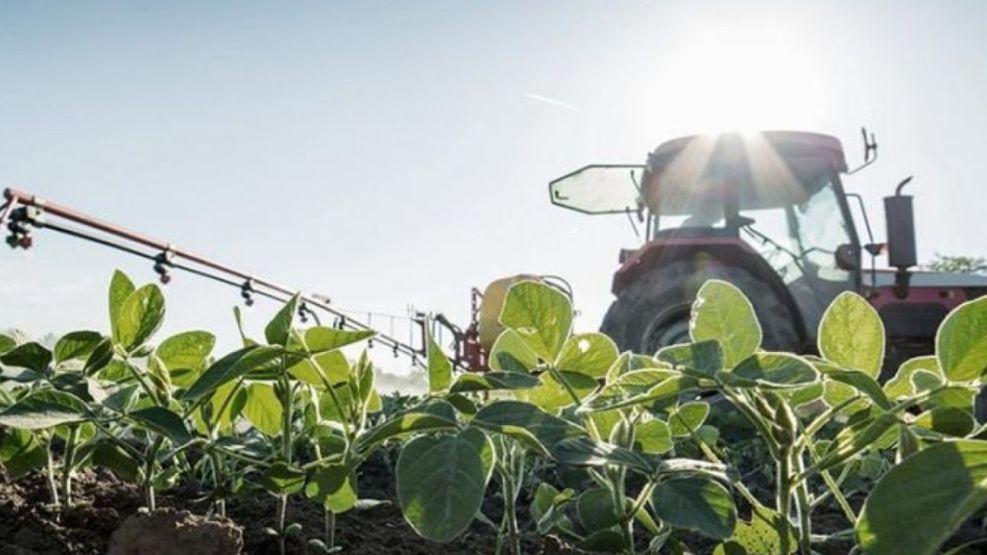 Baja de retenciones: cuál es el impacto que se puede esperar en la productividad del campo