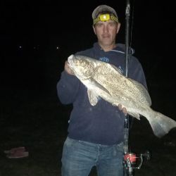 Las lagunas pican en punta con variedad de especies. Hay pejerreyes, pero también es posible obtener tarariras, lisas y carpas. 