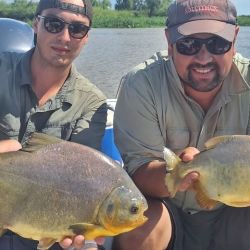 Las lagunas pican en punta con variedad de especies. Hay pejerreyes, pero también es posible obtener tarariras, lisas y carpas. 