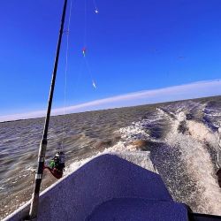 Las lagunas pican en punta con variedad de especies. Hay pejerreyes, pero también es posible obtener tarariras, lisas y carpas. 