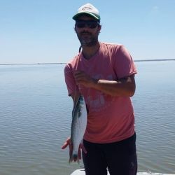 Las lagunas pican en punta con variedad de especies. Hay pejerreyes, pero también es posible obtener tarariras, lisas y carpas. 