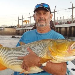 Las lagunas pican en punta con variedad de especies. Hay pejerreyes, pero también es posible obtener tarariras, lisas y carpas. 