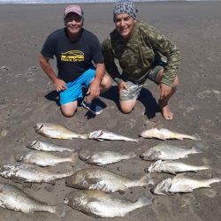 Las lagunas pican en punta con variedad de especies. Hay pejerreyes, pero también es posible obtener tarariras, lisas y carpas. 