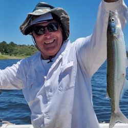 Los encarnes deben ser con mojarra de generoso tamaño para evitar el constante descarne. Además, se seleccionan las capturas.