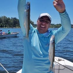 Los encarnes deben ser con mojarra de generoso tamaño para evitar el constante descarne. Además, se seleccionan las capturas.
