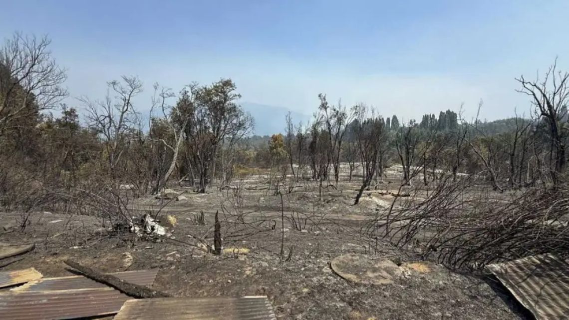 Devastation after forest fires near El Bolsón.