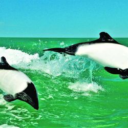 En la costa argentina también hay playas tranquilas para desconectar.