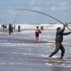 En el torneo se busca a la corvina negra de mayor peso, aunque de no lograrse se cubrirá la clasificación con rubias. 
