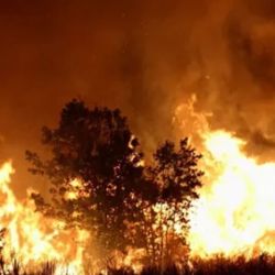 El fuego sigue arrasando con todo lo que encuentra en la Patagonia.
