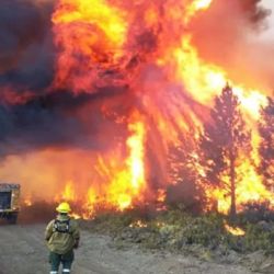 Bomberos, brigadistas y expertos contra el combate del fuego trabajan denodadamente para extinguir los focos activos.
