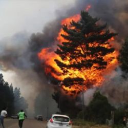 Los incendios comenzaron a mediados de diciembre de 2024.