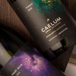 CAELUM en Delirio