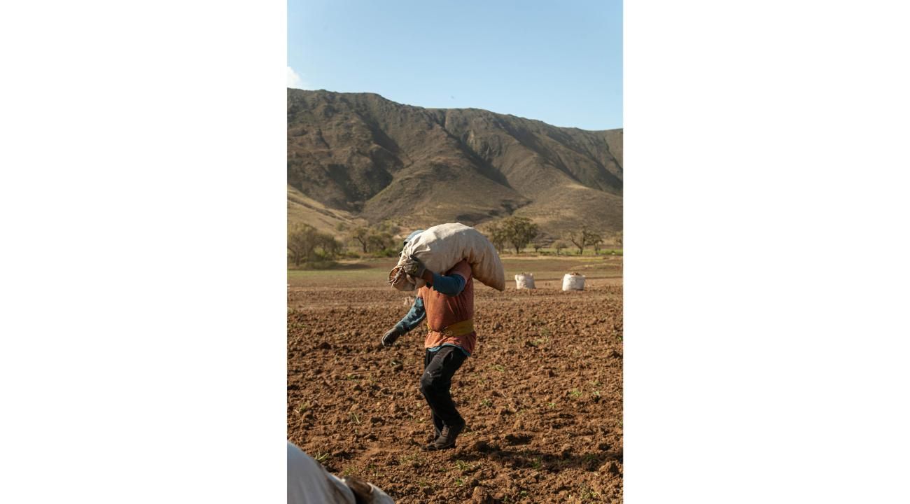 La Pasión por la tierra y los sueños hechos realidad en Papas Tafí 